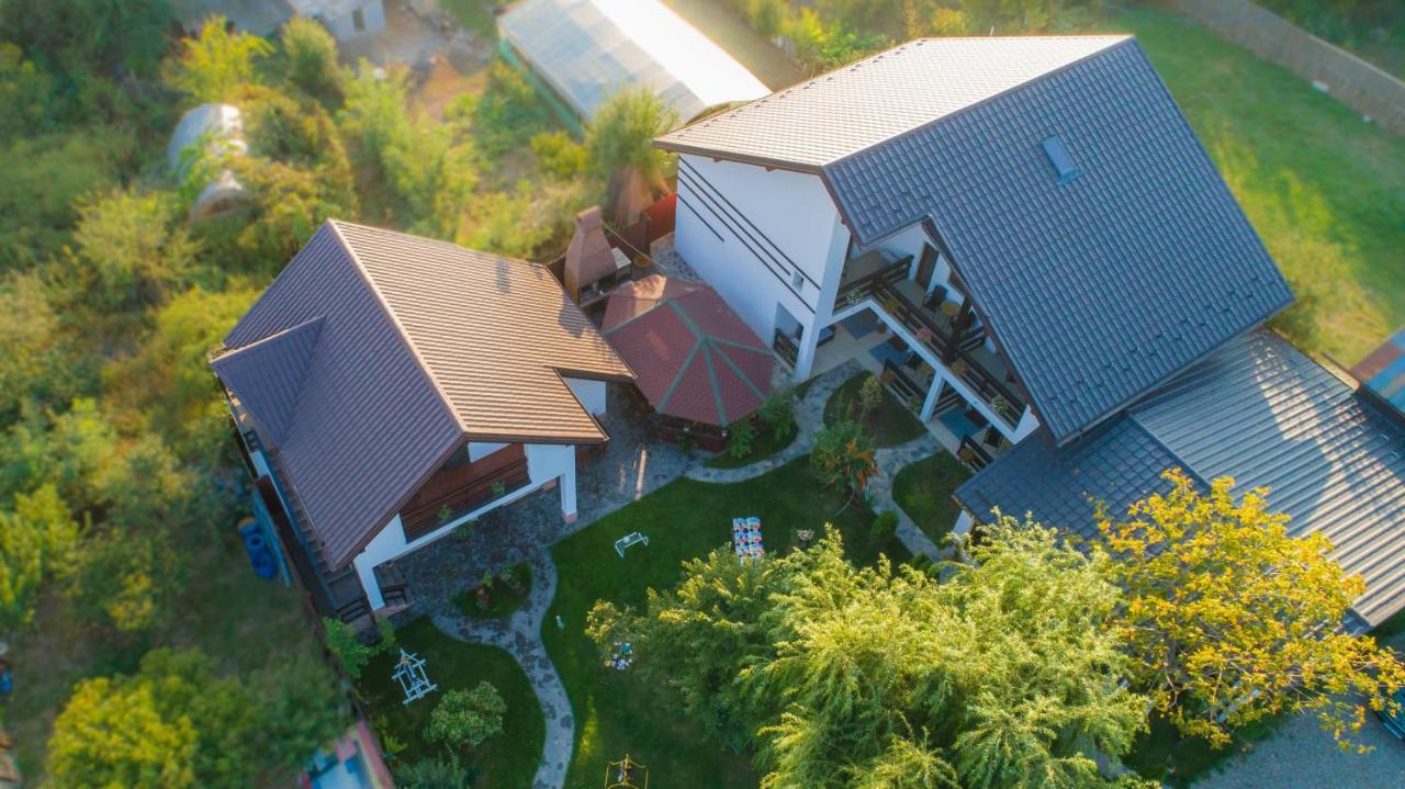 Pensiunea Puiu Afumati Ngoại thất bức ảnh